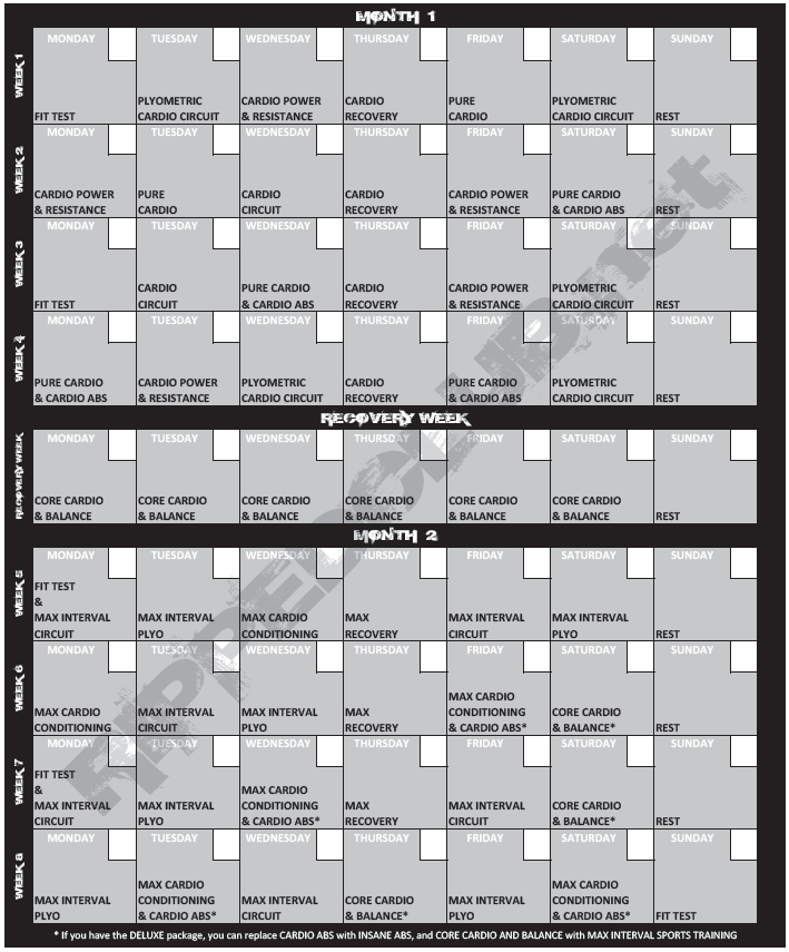 7 Best Images Of Printable Insanity Workout Schedule