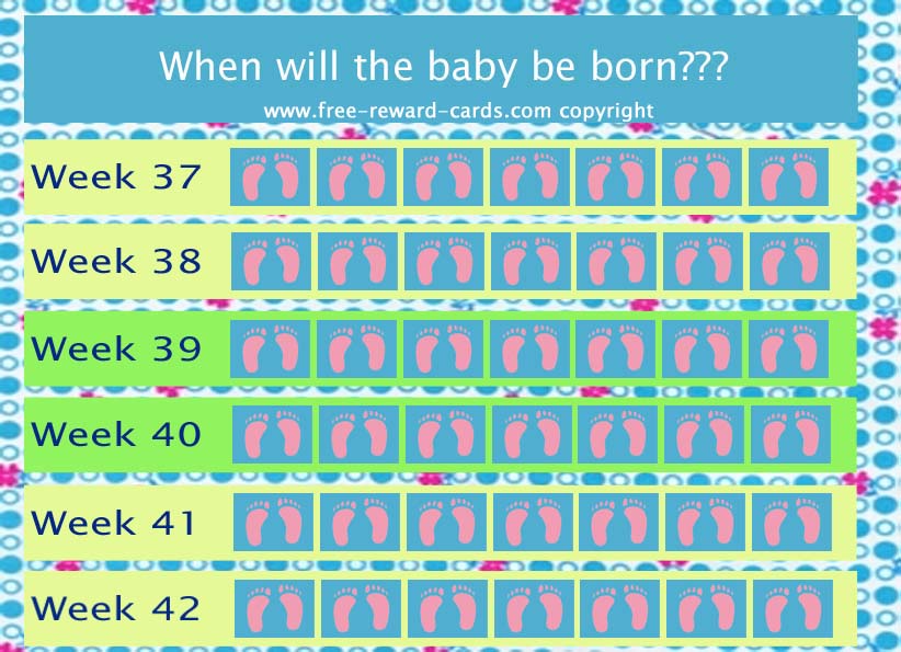 Countdown Calendar Baby Born