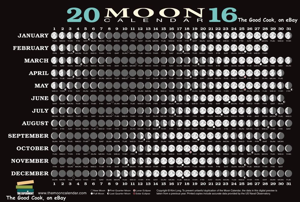 Moon Phase Calendar Related Keywords & Suggestions