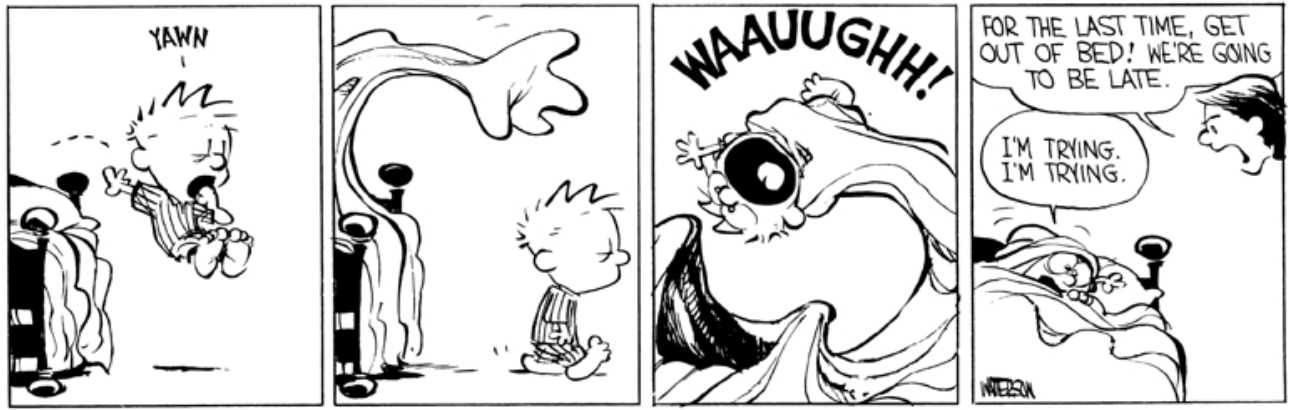 Calvin And Hobbes Daily Calendar