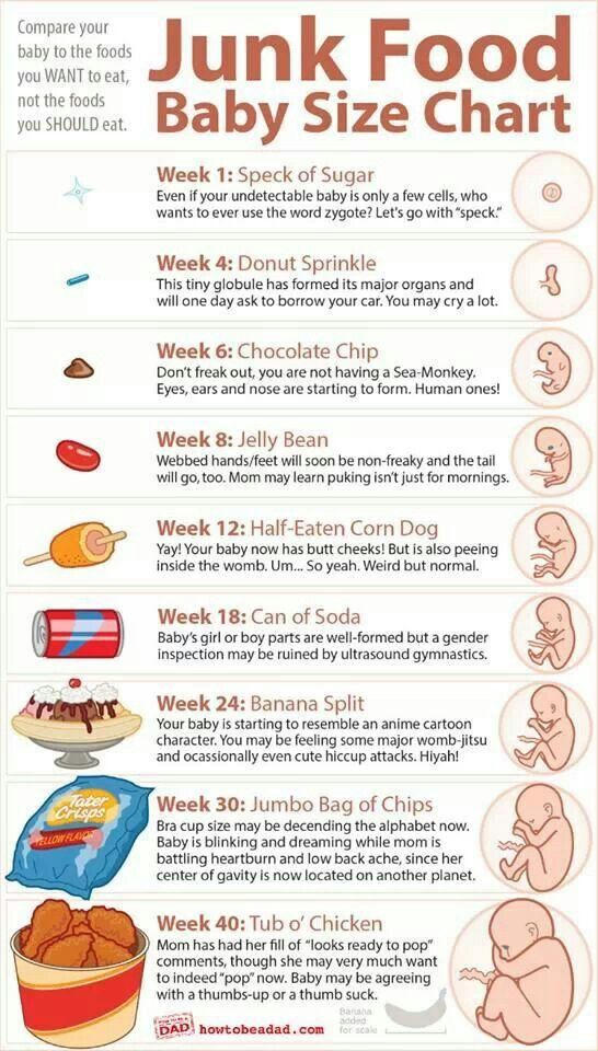 Baby Chart Week By Week