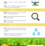Lawn Care Tips Lawn Seasonal Calendar Best Guide For A Lawn Treatment Calendar