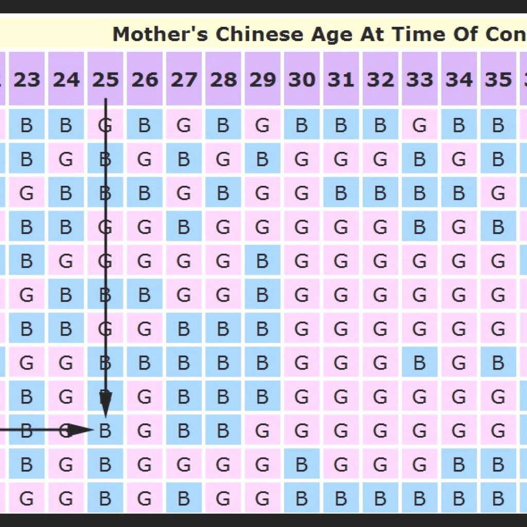 Mayan Calendar 2019 Gender Gender Prediction Chart Gender Mayan Predictions For 2020