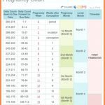 Pin On Printable Free Calendar Templates Printable Pregnancy Chart With Pictures Week By Week