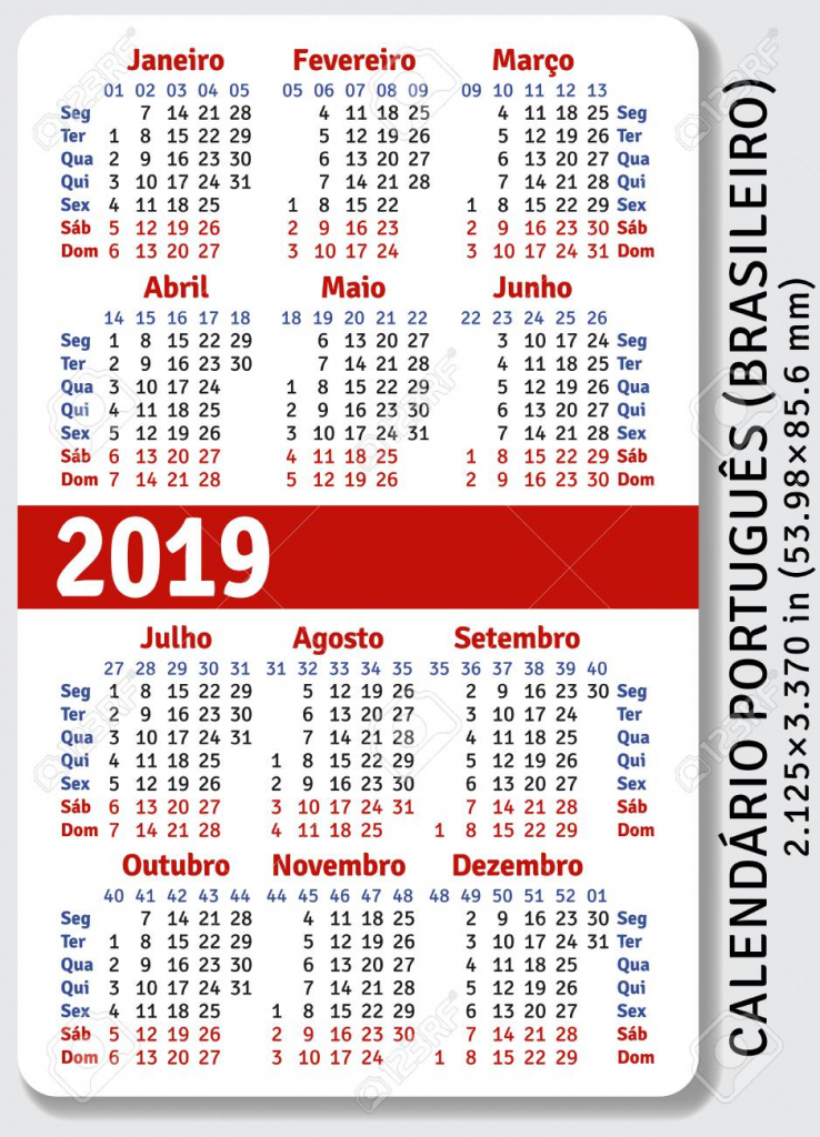portuguese brazilian pocket calendar for 2019 standard size wallet size calendar