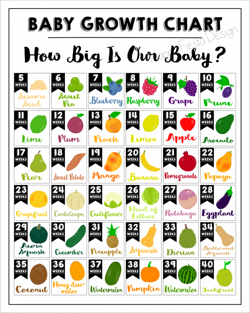 printable ba growth chart how big is our ba in 2020 printable pregnancy chart with pictures week by week