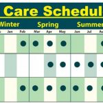 Weed And Feed Schedule For Lawn Care Ryno Lawn Care Llc Yearly Lawn Maintenance Schedule