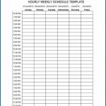 Hourly Schedule Template Word Addictionary Weekly Hoursly Calendar