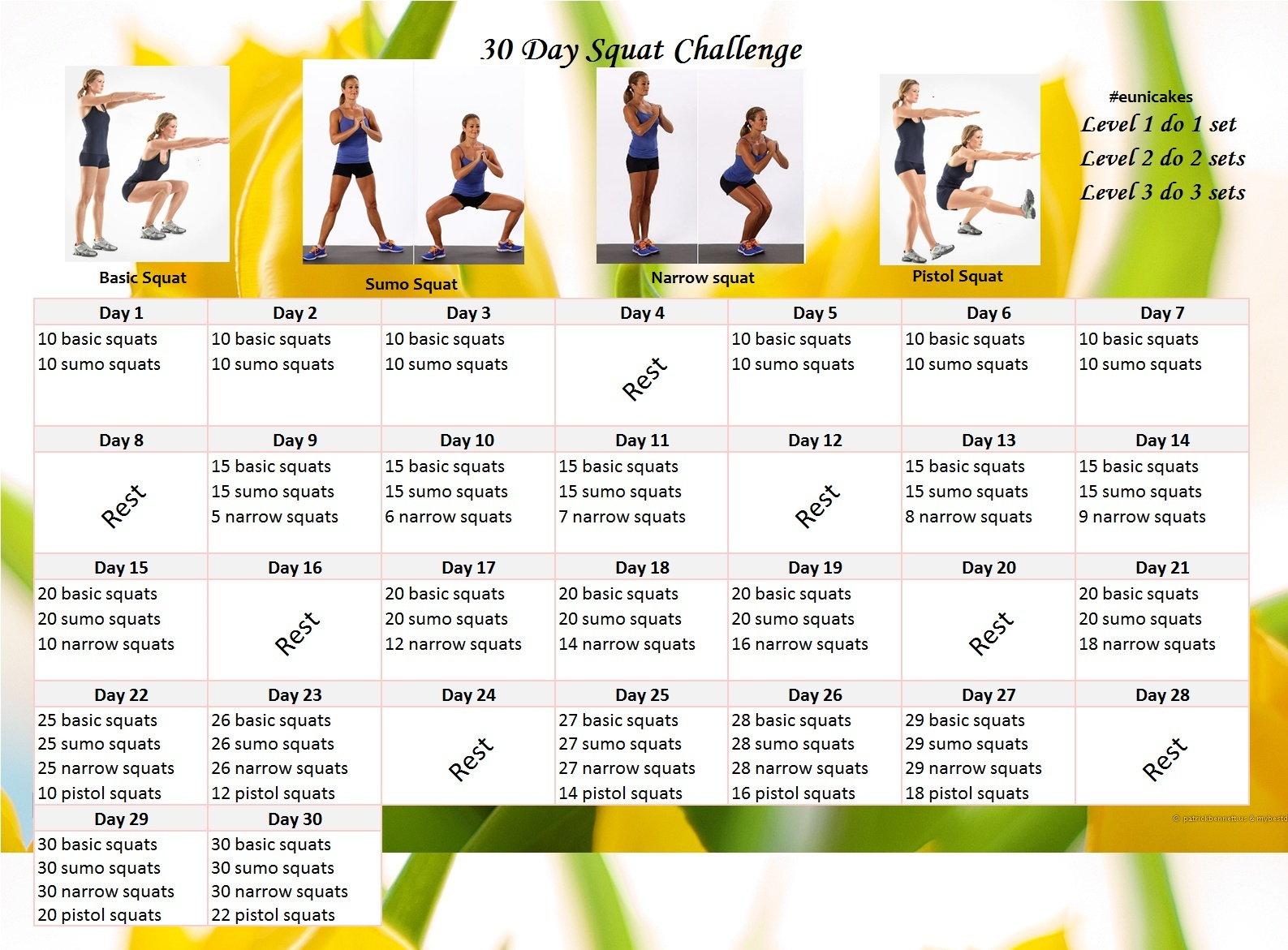 30 day plank challenge eunicakes