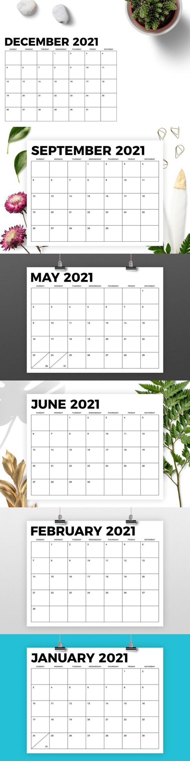 8 5 X 11 Inch Bold 2021 Calendar In 2020 Calendar
