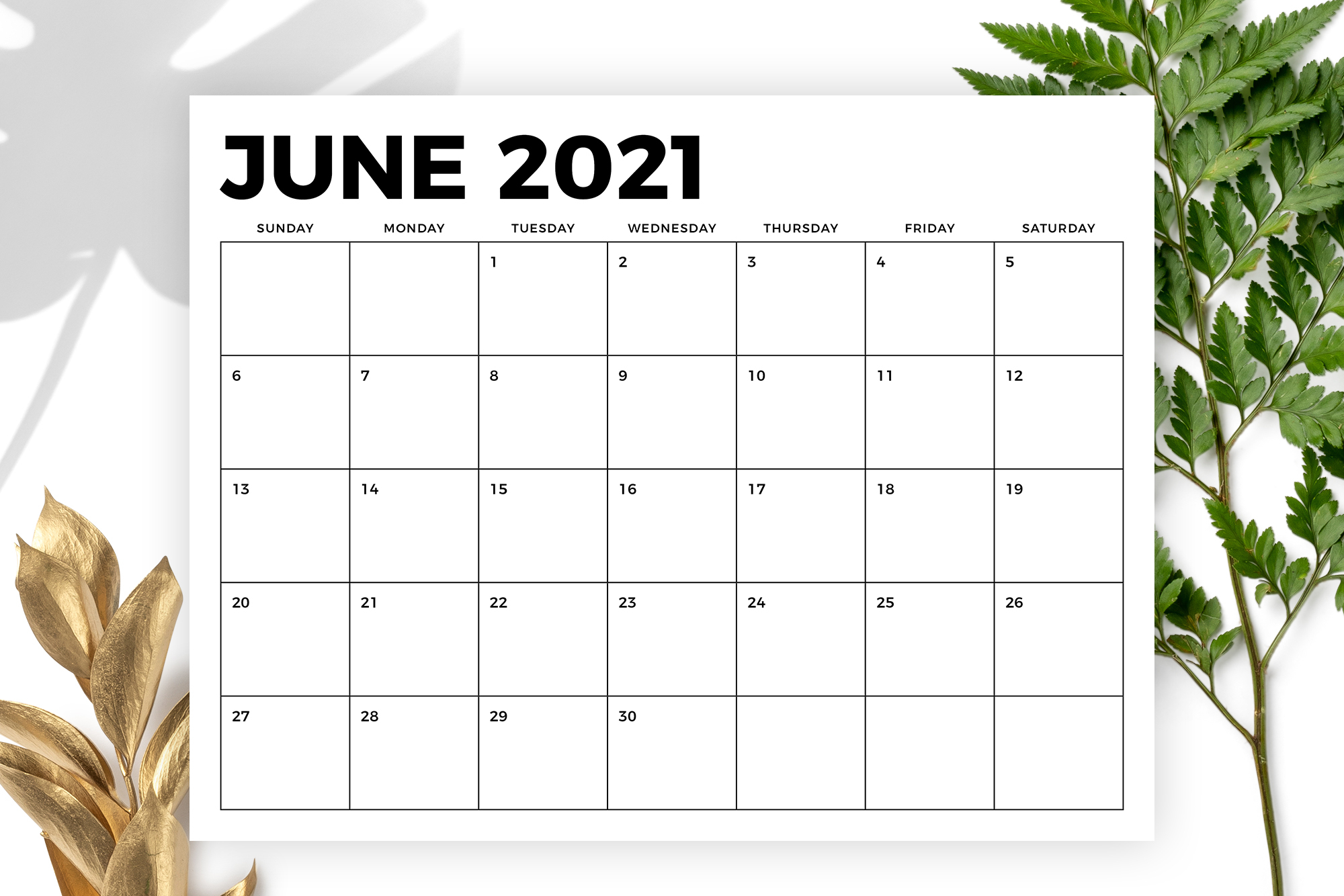 8 5 x 11 inch bold 2021 calendar