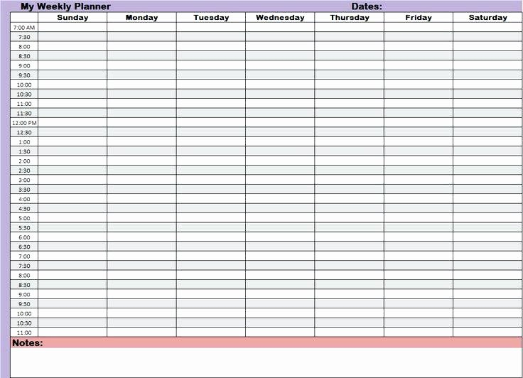 printed 24 hour hourly daily schedule template