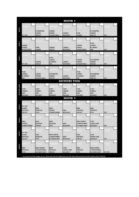 insanity workout schedule printable pdf download