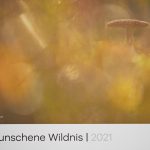 Klaus Tamm Photography Kalender 2021 Verwunschene Wildnis