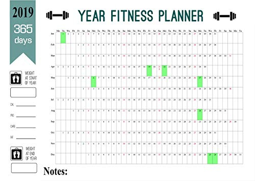 2019 A3 Size Year Calendar Planner 365 Day Fitness