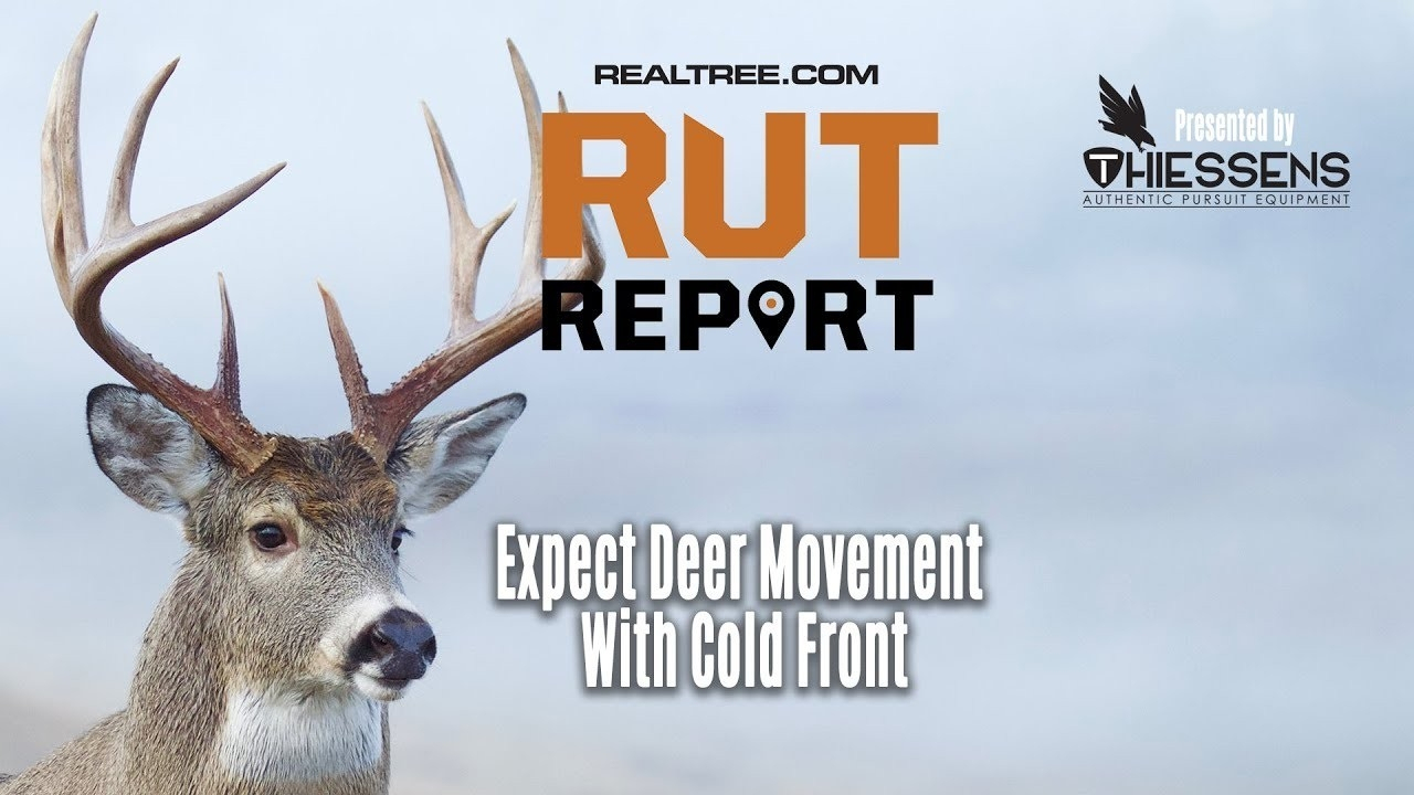 Deer And Deer Hunting Rut Prediction 2021 Calendar