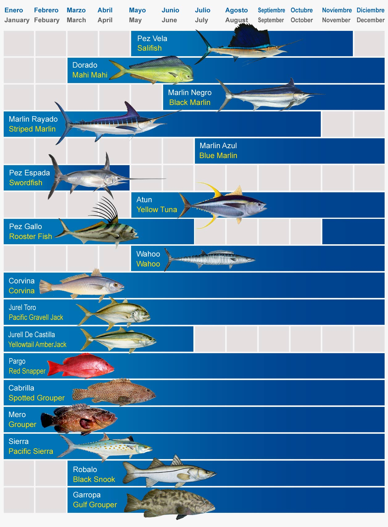 Fishing Calendar Punta Cana Bavaro Dominican Republic