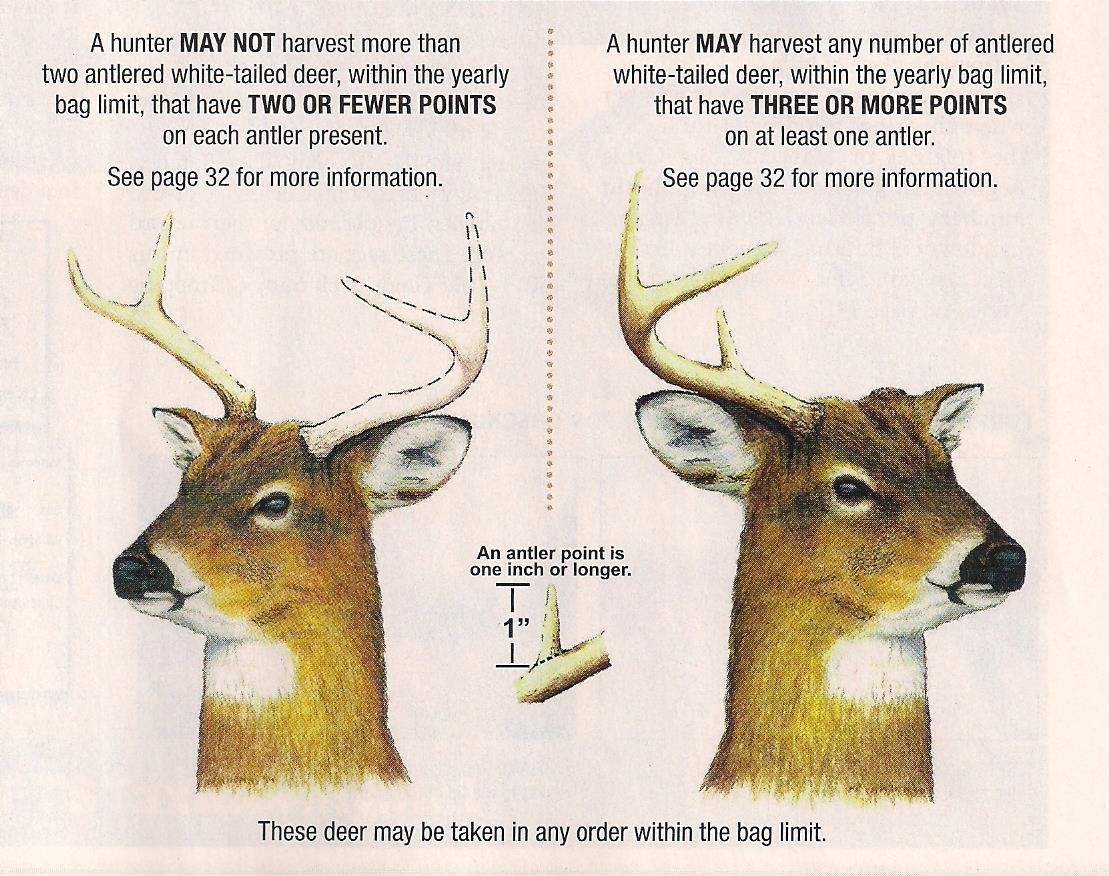 midwest 2021 whitetail rut predictions calendar