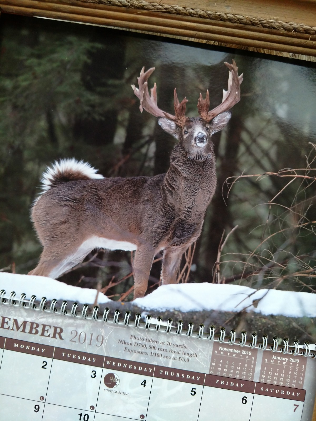 Moon Phase Deer Hunting Chart 2021 Printable Calendar