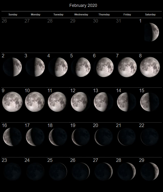 Moon Phase Calendar Ms Evans 5th Grade Science