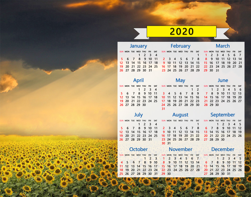 2020 Calendar Sunflowers Field Golden Sunset Sunrise
