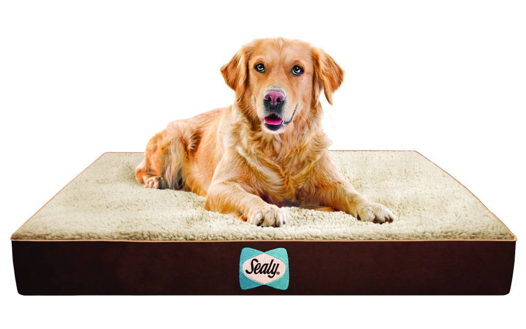Quad Element Sealy Dog Bed Pet Age