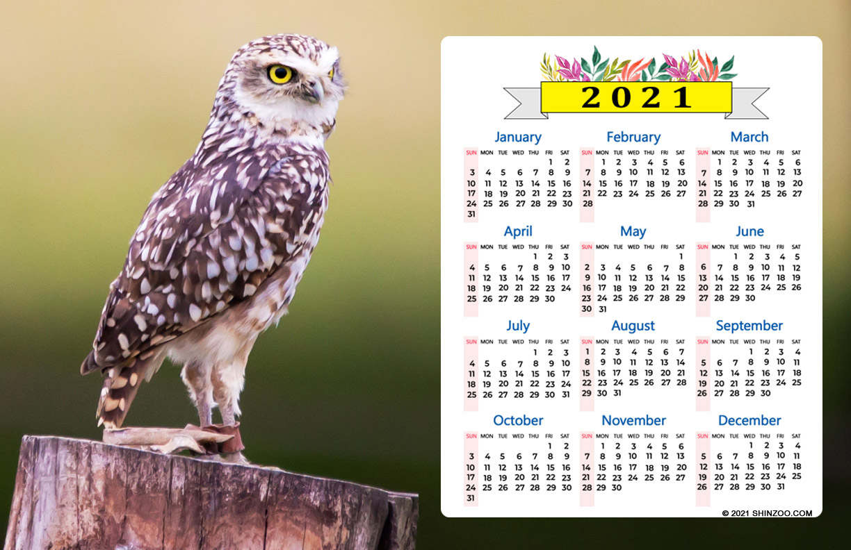 2021 Calendar 11×17 Printable Template Adorable And Smart