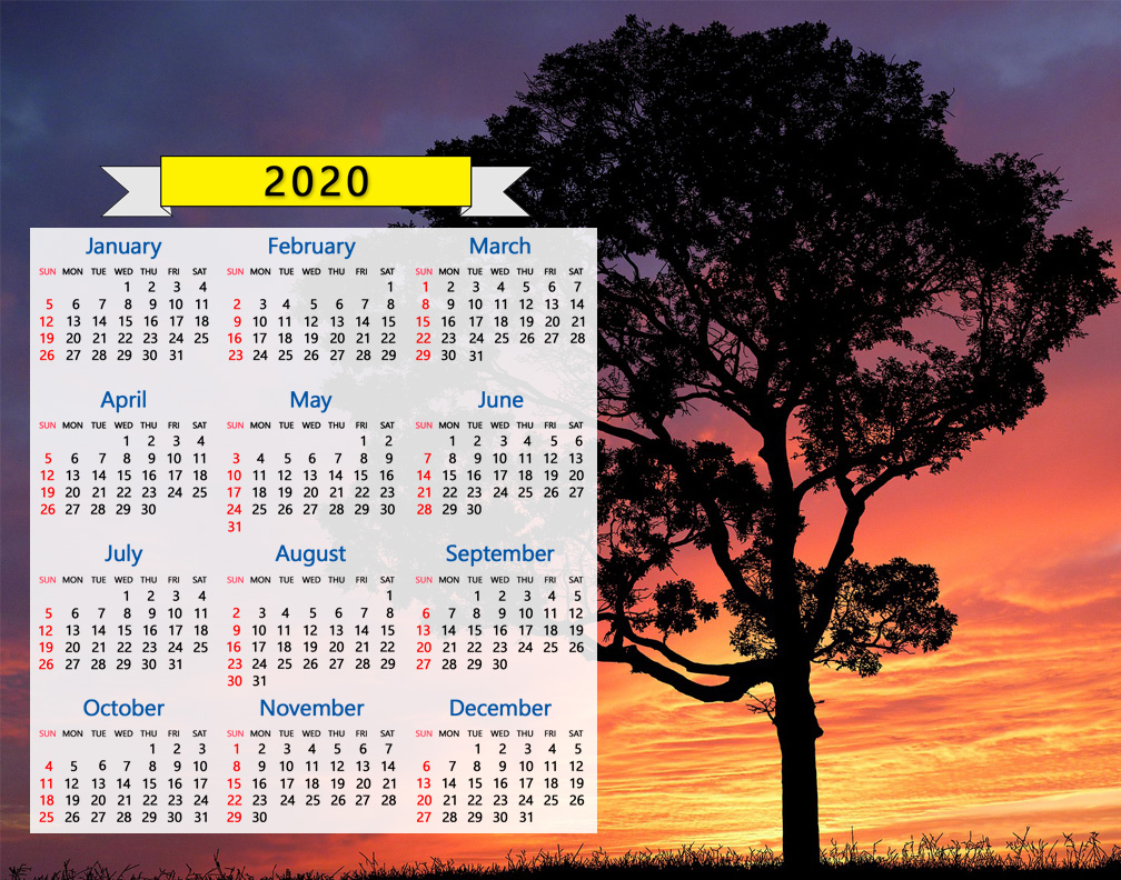 2020 calendar tree silhouette sunset sunrise nature