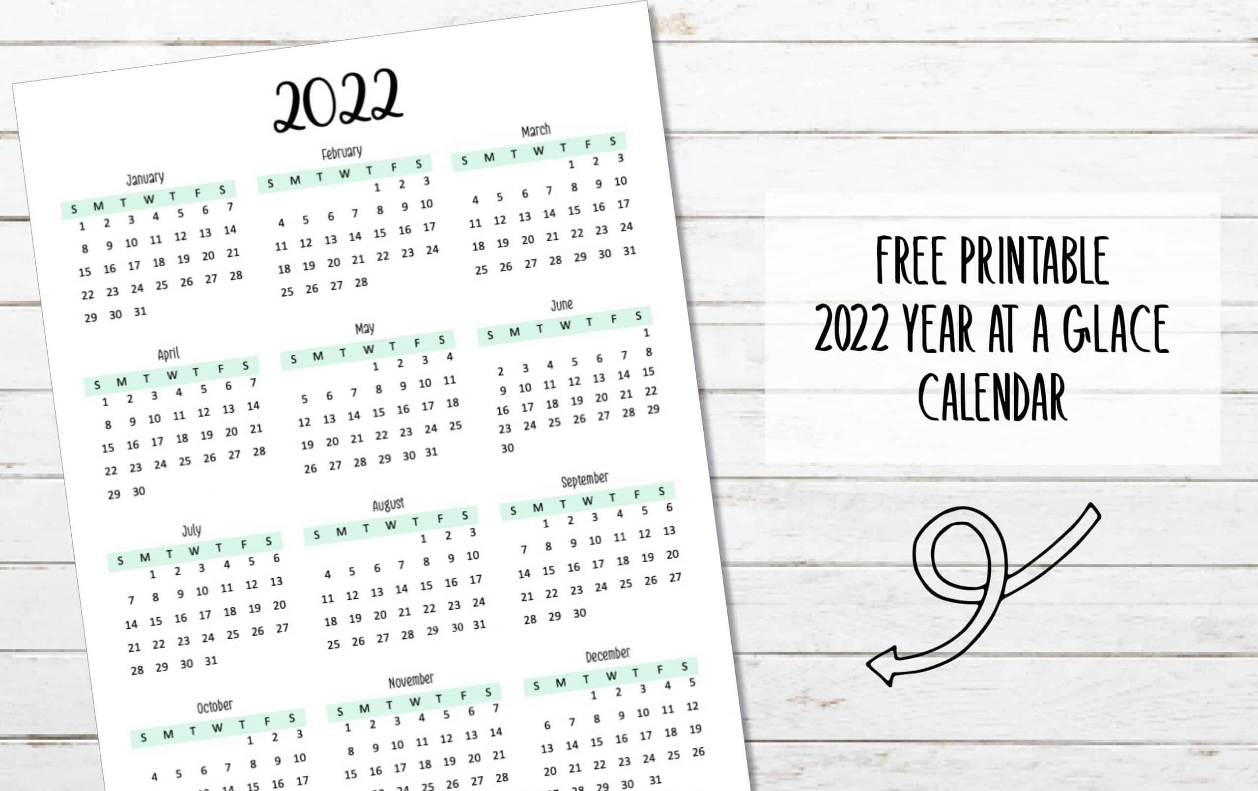 2022 Year At A Glance Calendar My Printable Home