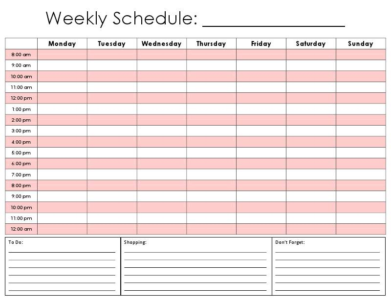24 Hour Planner Template Business