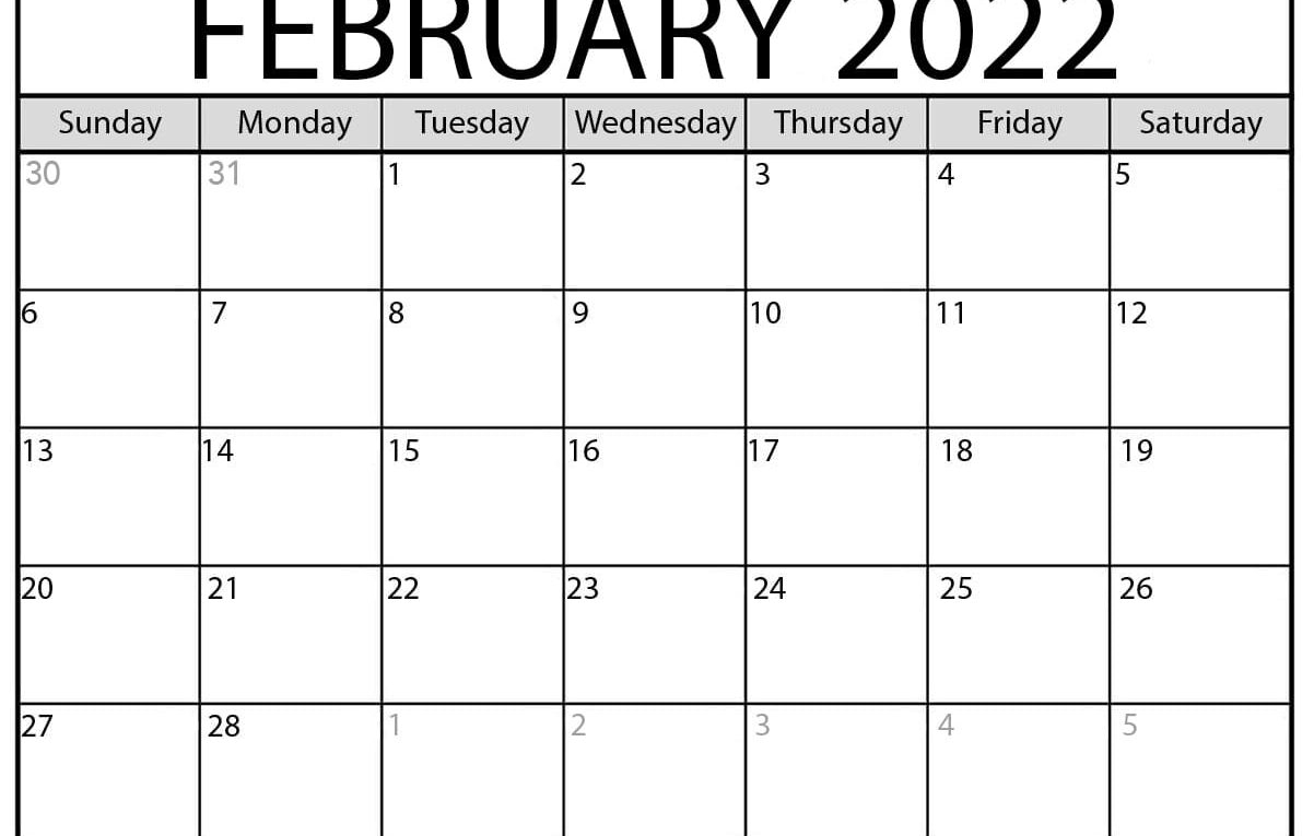Calendar February 2022 Snake Background April 2022 Calendar