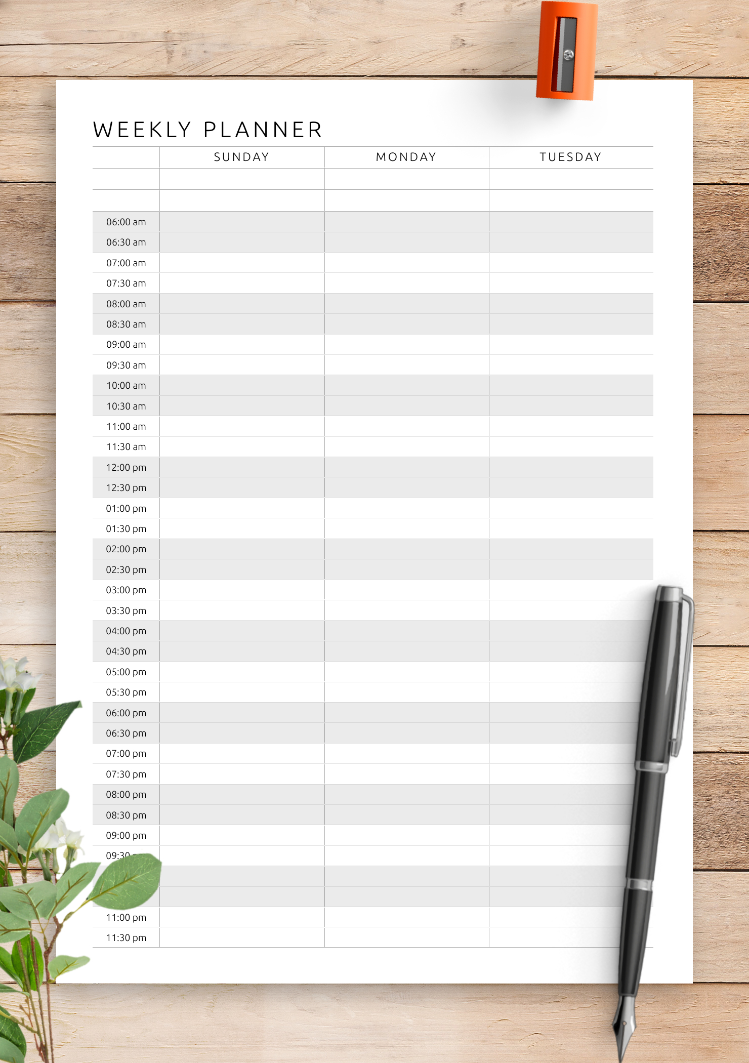 download printable two page weekly hourly scheduler pdf