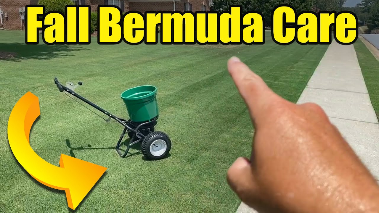 Fall Lawn Care Schedule Youtube