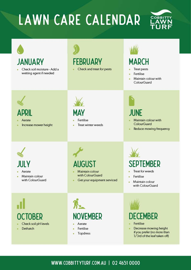 Free Lawn Care Calendar Download Cobbitty Turf Supplies