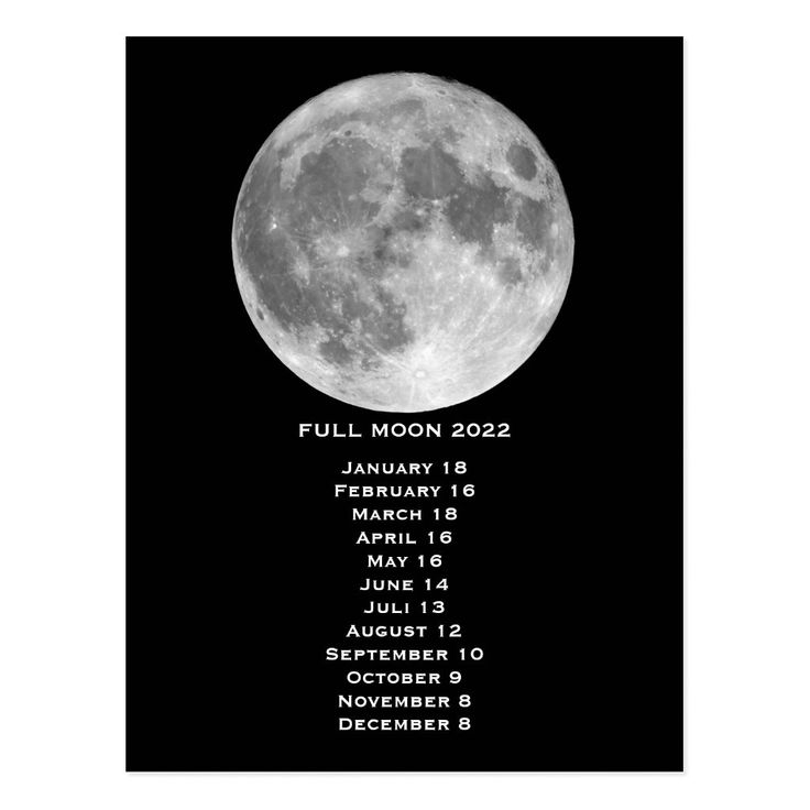 Full Moon Phases Calendar 2022 Postcard Zazzle