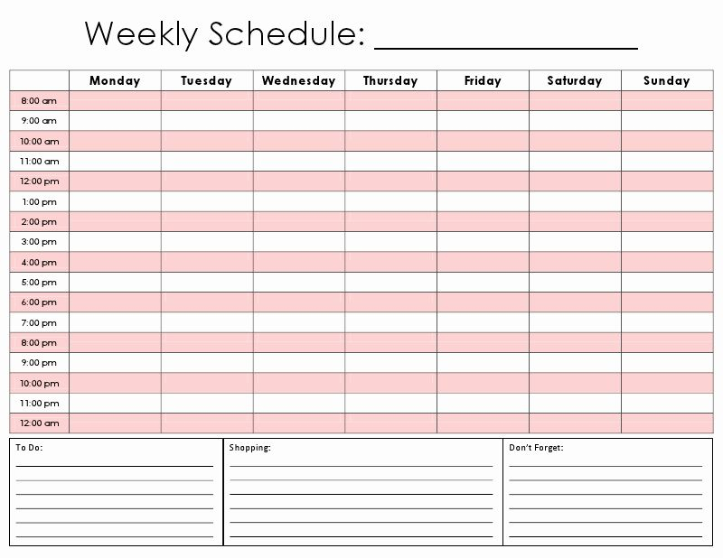 Hourhour Schedule Template Inspirational Totally 2