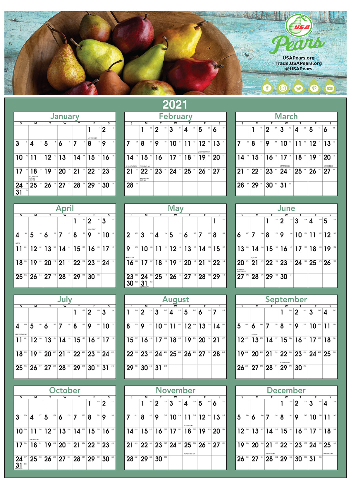 huge economical full color year at a glance calendar