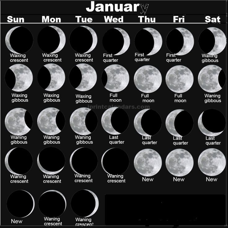 january 2019 full moon printable calendar moon calendar