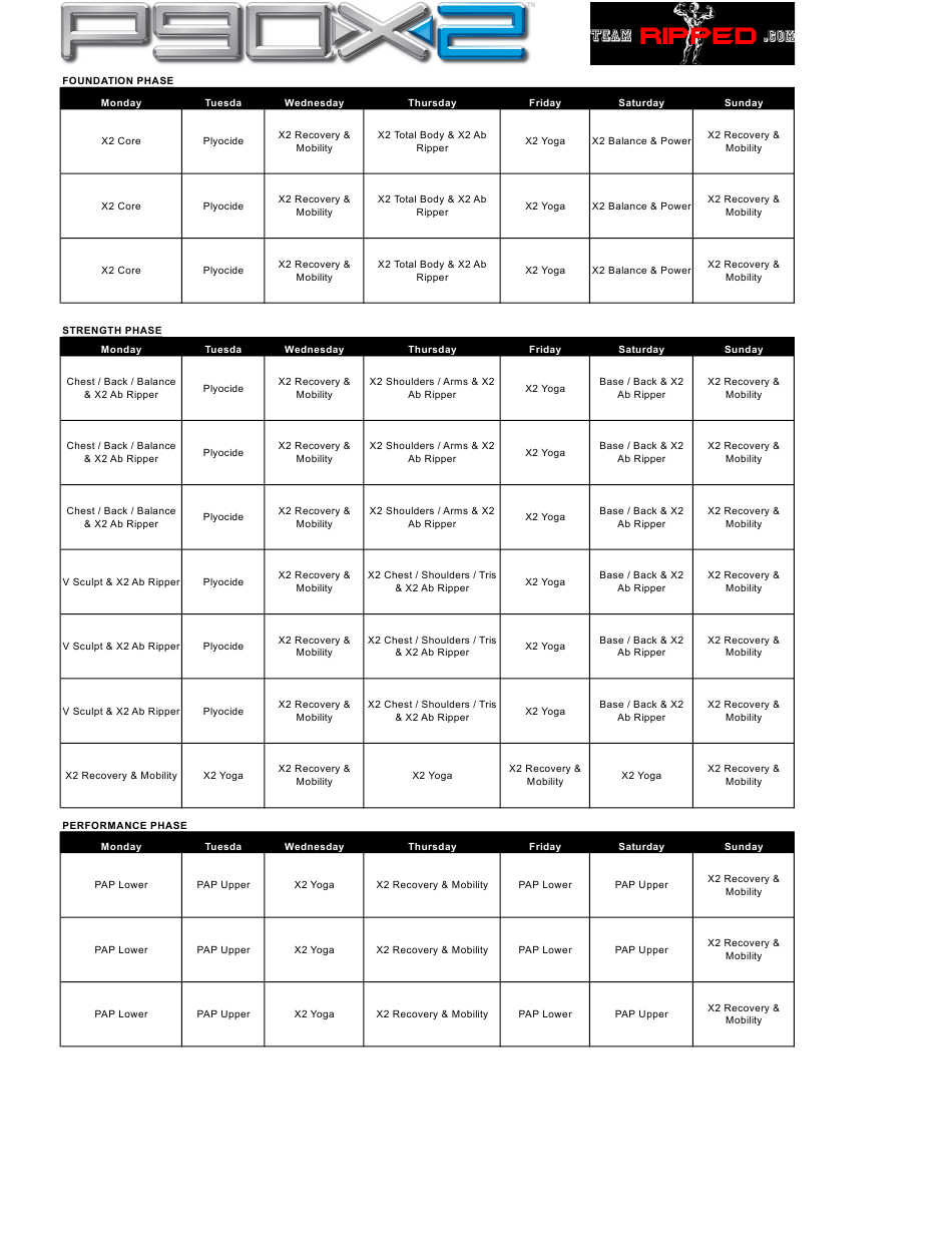 P90x2 Workout Schedule Template Ripped Download