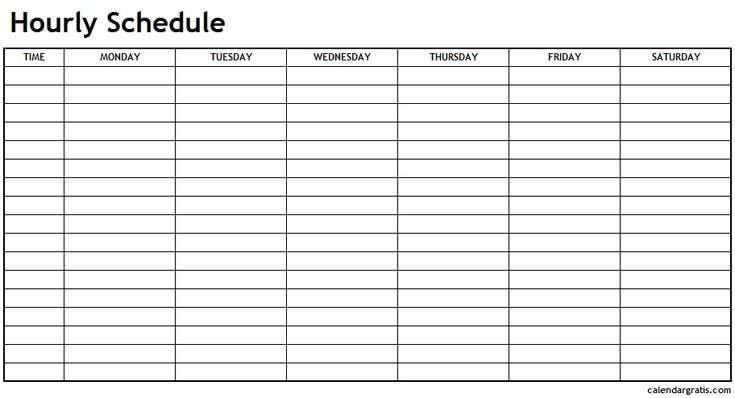 Printable Hourly Schedule Template 24 Hours Planner 5