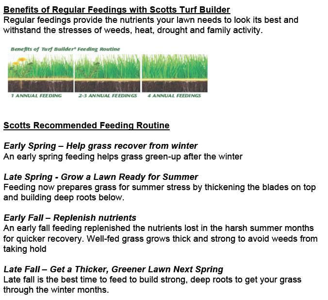Scotts Turf Builder Lawn Fertilizer Review Outnumbered
