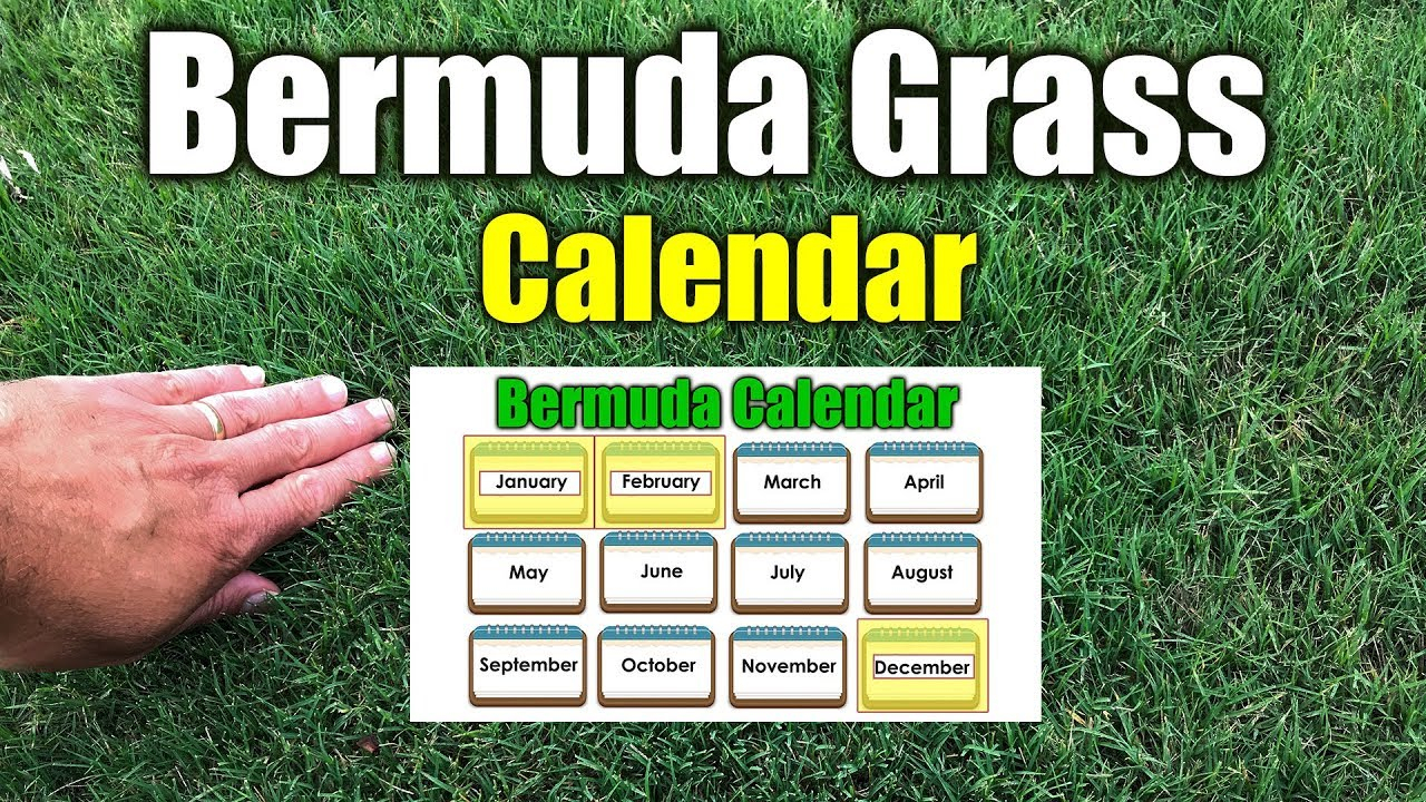 southern lawn fertilizer schedule budapestsightseeing 4